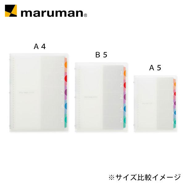 バインダー プラスチックバインダー ファイルノート ファイブチャート B5 26穴 背幅20mm F906 マルマン (ゆうパケット1点まで)2点以上は宅配便｜artandpaperm｜04