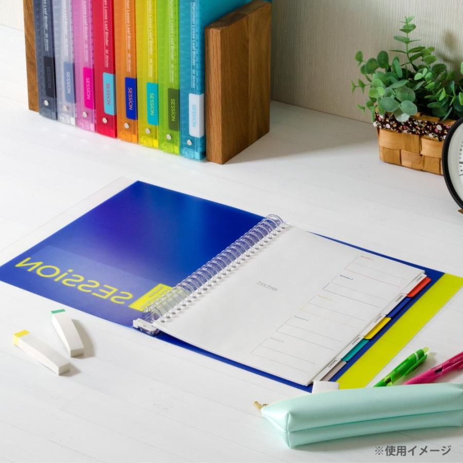 maruman インデックス ラミネートタブ シート Wインデックス B5 maruman インデックス ラミネートタブ シート Wインデックス B5