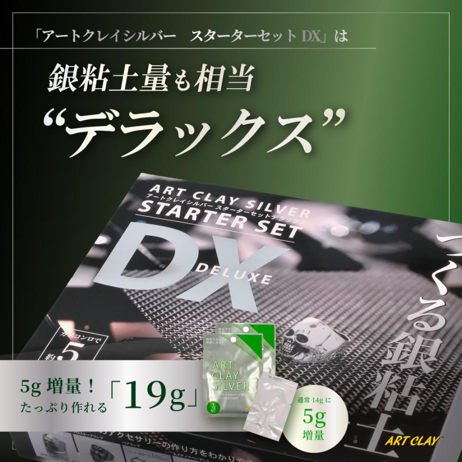 ART CLAY アートクレイシルバー スターターセットDX 銀粘土 5g増量