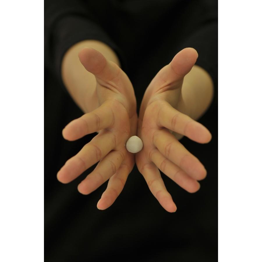 ART CLAY 銀粘土 アートクレイシルバー 50g / 純銀粘土 シルバー