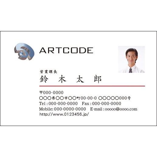 カラービジネス名刺　印刷　作成 100枚 ロゴ入れ可　シンプルなビジネス向け名刺　business012 | 