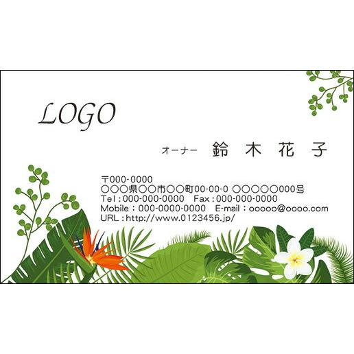 カラーデザイン名刺　ショップカード　印刷　作成【100枚】ロゴ入れ可　グリーン　自然　green003 | 