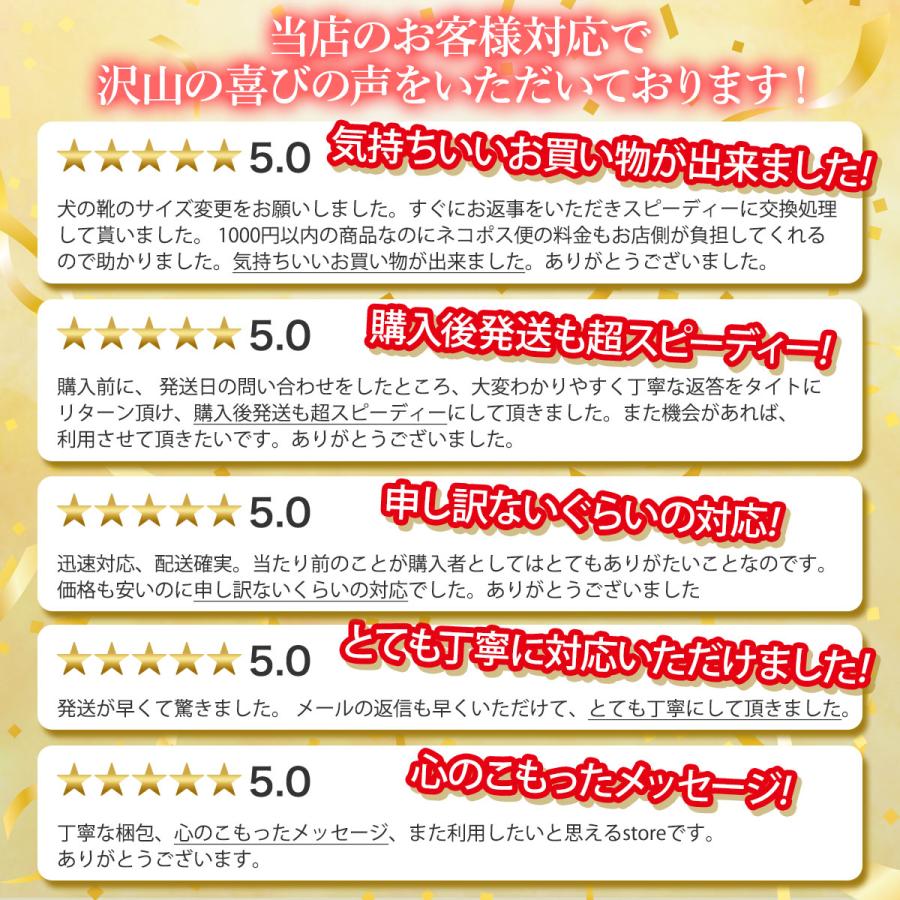 折りたたみ椅子 アウトドアチェア チェア 折り畳み椅子 折りたたみ椅子 アウトドアチェア チェア 折り畳み椅子