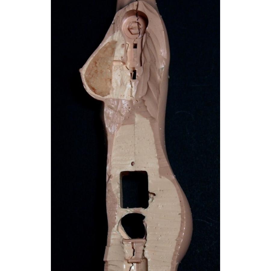 Edation　Hotstuff 　1/6シームレス女性素体　ミデイアムタイプ ナチュラルスキン M03 その他 HOV1120164151(10084円)