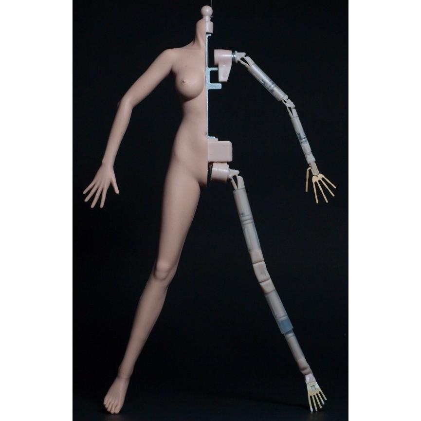 Edation　Hotstuff 　1/6シームレス女性素体　ミデイアムタイプ ナチュラルスキン M03 その他 HOV1120164151(10084円)