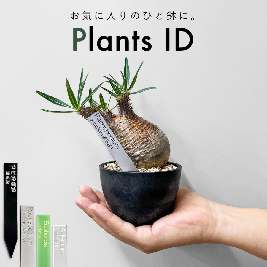 植物 名前 ラベル タグ 【 Plants ID 】 オリジナル アクリル 園芸