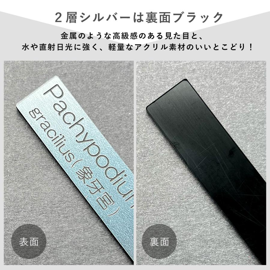 植物 名前 ラベル タグ 【 Plants ID 】 オリジナル アクリル 園芸