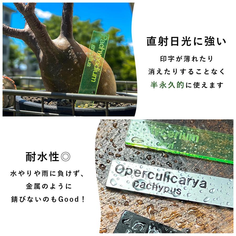 植物 名前 ラベル タグ 【 Plants ID 】 オリジナル アクリル 園芸