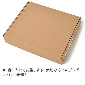 ファイロファックス システム手帳 サフィアーノ メタリック Metallic A5サイズ 6穴 リング径30mm filofax Saffiano 年号無し年間スケジュール他各種リフィル付き | FILOFAX | 12