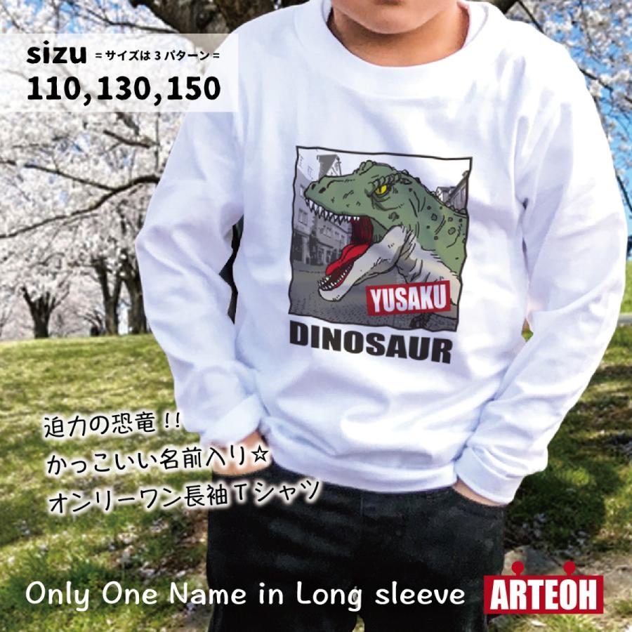 名前入り 名入れ 恐竜 長袖tシャツ 子供服 ペア プレゼント 出産祝い 誕生日 ギフト キッズ かわいい かっこいい オシャレ A Lt Kyoryu A001 W Arteoh 通販 Yahoo ショッピング