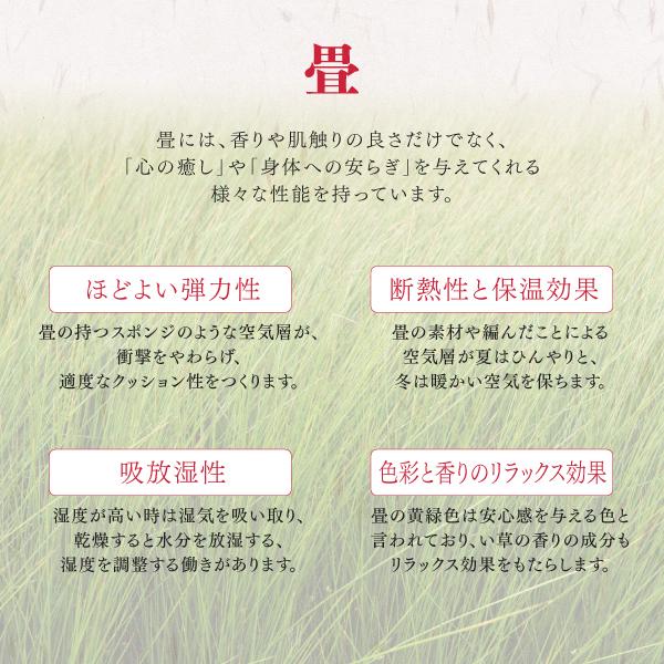 日本製 収納付きデザイン畳リビングステージ そよ風 そよかぜ 畳ボックス収納 120×180cm ハイタイプ 高さ40cm_10