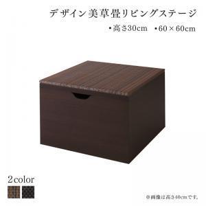国産 収納付きデザイン美草畳リビングステージ 風凛 フーリン 畳ボックス収納 60×60cm ロータイプ 高さ30cm