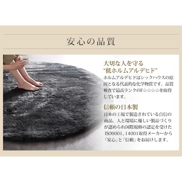 ラグ おしゃれ 防ダニ 消臭 防炎 抗アレルギー機能付きフェイクファーラグ ロジェ 直径100cm(サークル)_12