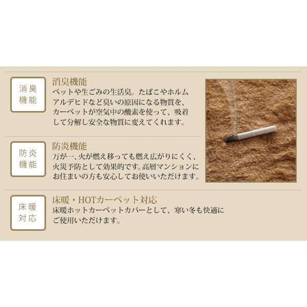 ラグ おしゃれ 防ダニ 消臭 防炎 抗アレルギー機能付きフェイクファーラグ ロジェ 直径100cm(サークル)_14