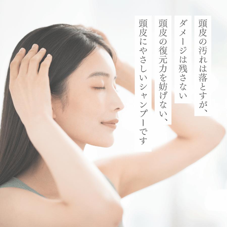 NAPシャンプー 600ml｜アミノ酸系 ノンシリコン スカルプケア 頭皮ケア フケ 抜け毛 サロン専売 低刺激 詰め替え |  | 01
