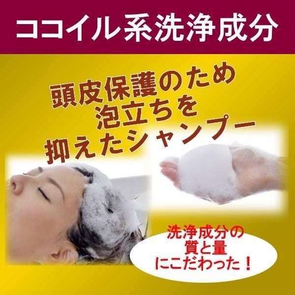 詰め替えNAPシャンプー600ｍｌ　美容室で大人気。頭皮の臭い、ダメージを抑えたノンシリコン、アミノ酸系ボタニカルシャンプー。うす毛、抜け毛予防に。｜arteworldshop｜05