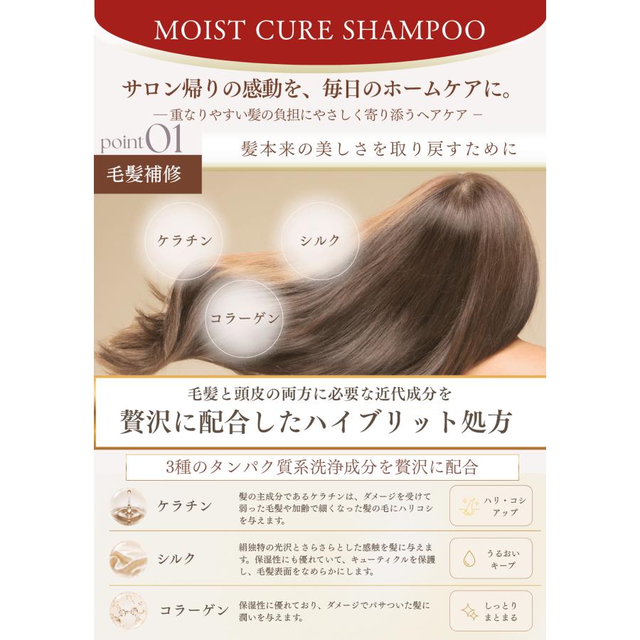 NAPモイストキュアシャンプートリートメントセット 380ml  ボトル サロン専売 タンパク質 アミノ酸 ヘアケア ダメージケア エイジングケア 頭皮 補修 保湿 |  | 01