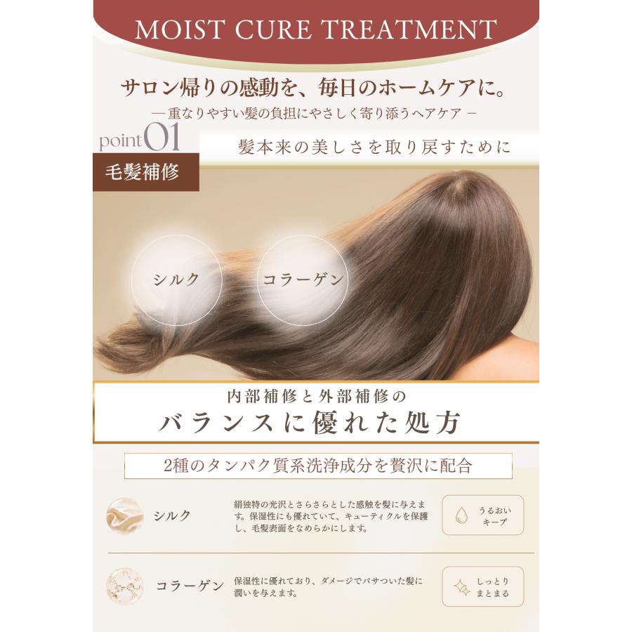 NAPモイストキュアシャンプートリートメントセット 380ml  ボトル サロン専売 タンパク質 アミノ酸 ヘアケア ダメージケア エイジングケア 頭皮 補修 保湿 |  | 04