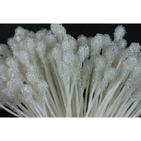アートフラワー資材ペップ（花芯） P240 ガラスペップ 小 両付き 白 3 