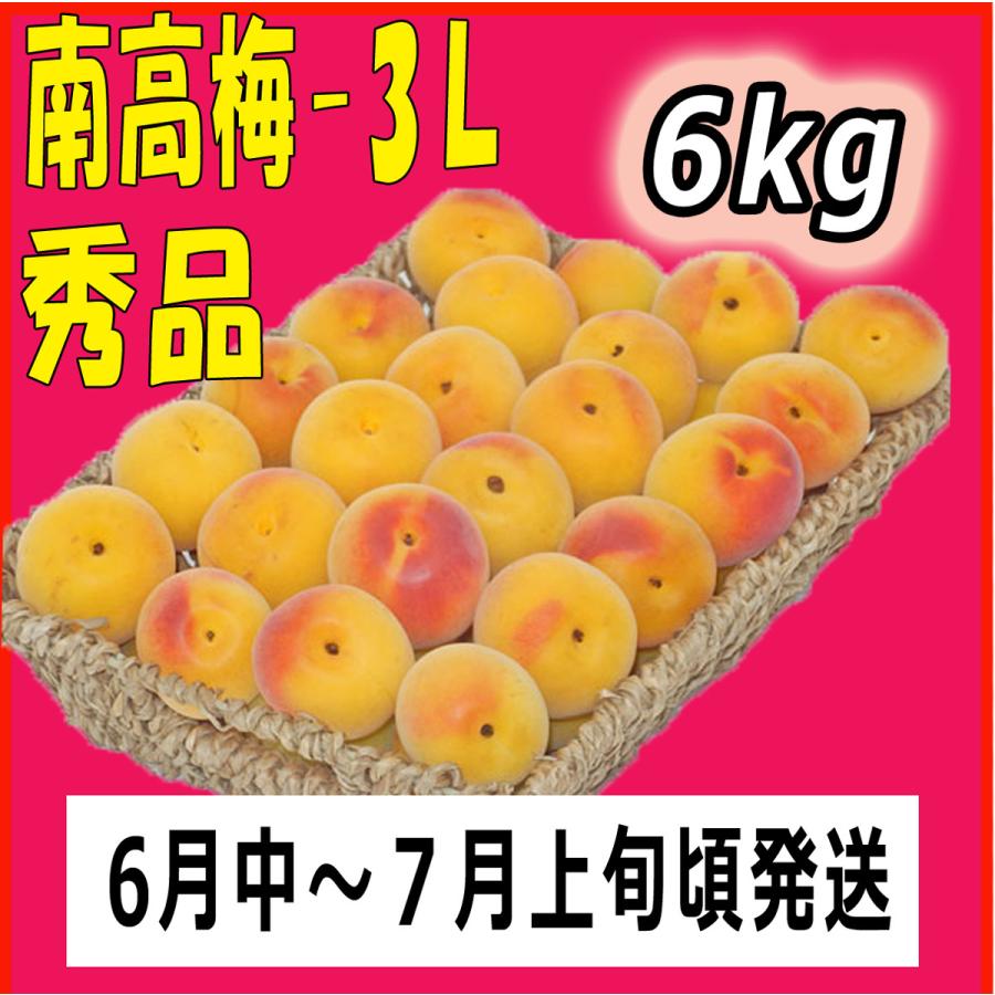 紀州南高梅 3Lサイズ 秀品 6kg