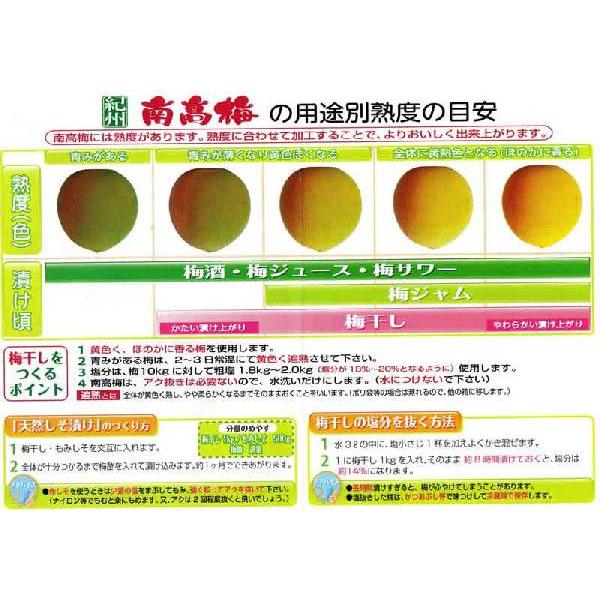 12.和歌山県産南高梅秀品3L10キロ送料込み