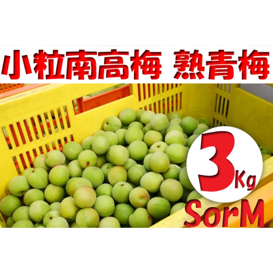 紀州南高梅 青梅 秀品（最高級品） 3L 5kg 送料込み 楽天市場】