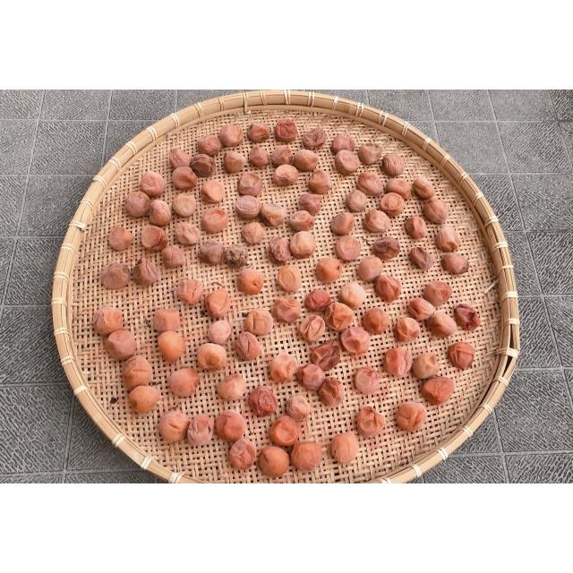 3Lサイズ*業務用9kg】紀州南高梅白干し