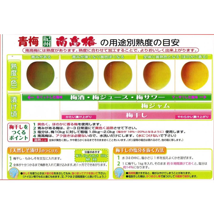 生梅南高梅優品4L-2kg梅干・梅酒・他、有機肥料主体に施肥した紀州 