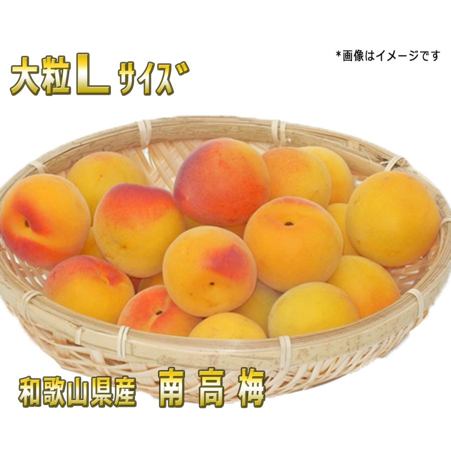 南高梅優品L/M-4kg梅干・梅酒・他、有機肥料主体に施肥した紀州和歌山 