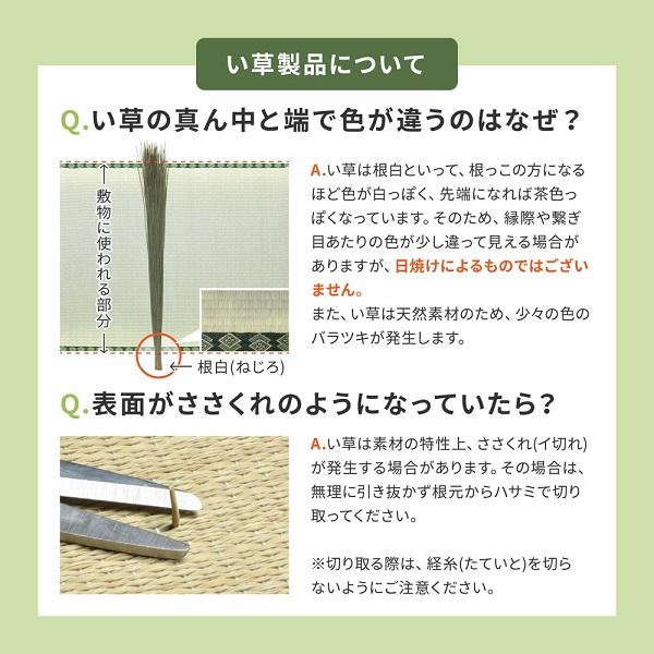 い草　置き畳 「南風」６５cm 　単色 ６枚セット　ネイビー ブラウン  滑りにくい加工付き　　  インテリア　畳　置き畳　琉球畳　い草 コンパクト｜artfulllife｜14