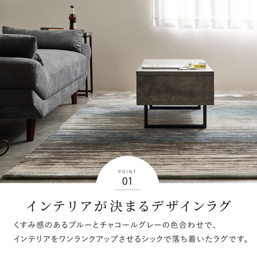HAGiHARA（萩原） エジプト製 ウィルトンラグ フォール 約200×250cm