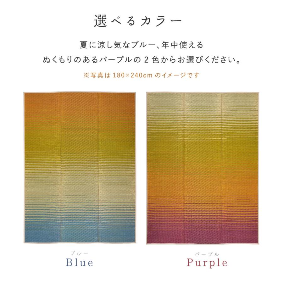 HAGiHARA（萩原） い草ラグ（裏貼り） 彩風 いろかぜ 約180×240cm