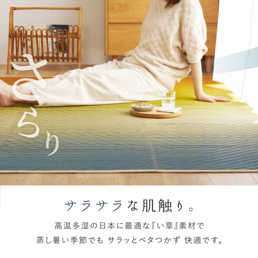HAGiHARA（萩原） い草ラグ（裏貼り） 彩風 いろかぜ 約180×240cm