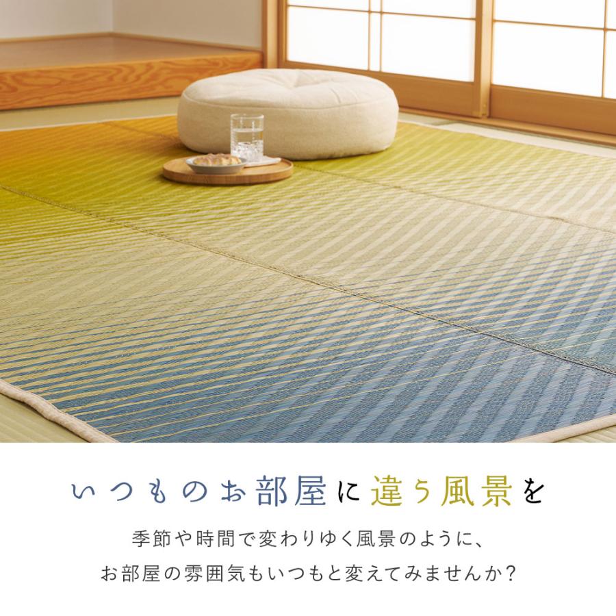 【人気商品】萩原(Hagihara) 掘りごたつ対応 い草ラグ 裏貼り グリーン 掘りごたつ用 い草ラグ カーペット ござ 裏貼りあり 市松模様 – 萩原製造所