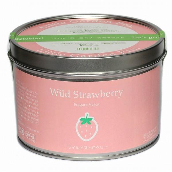 リトルガーデンプロ ワイルドストロベリー 花、ガーデニング 種、種子