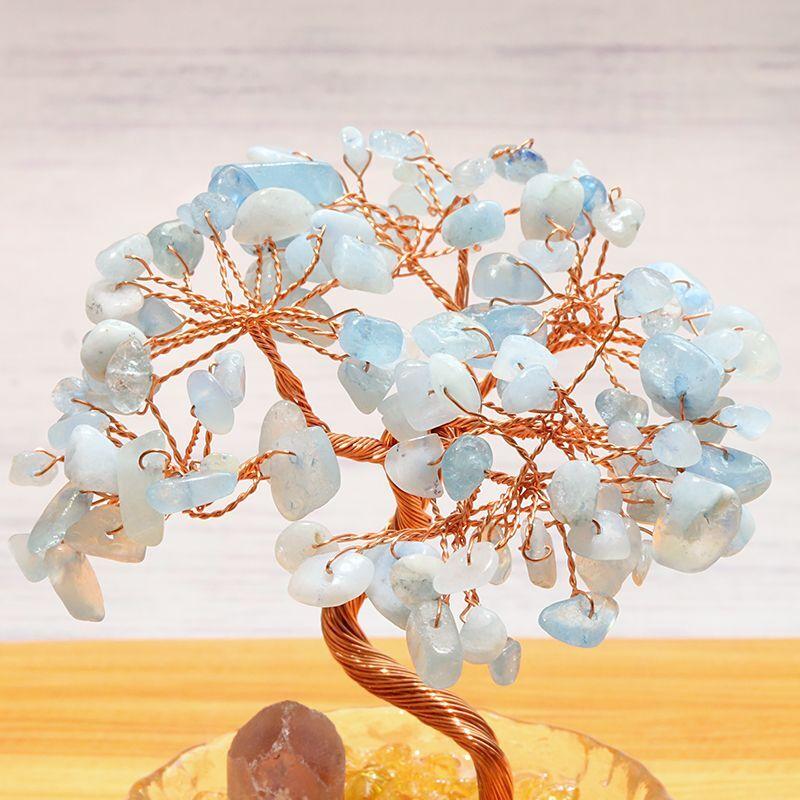 招財樹 金のなる木 風水 財運 健康運 仕事運 縁起物 置物 植木