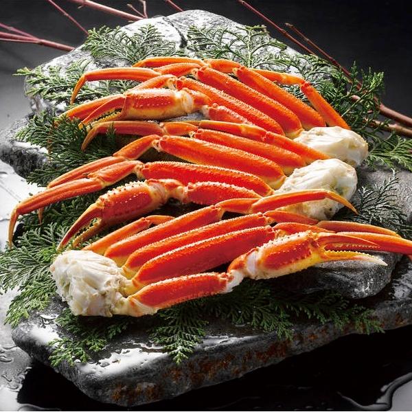 ボイルずわいがに600g 600KHN 食品 海産物 魚介類 蟹 カニ