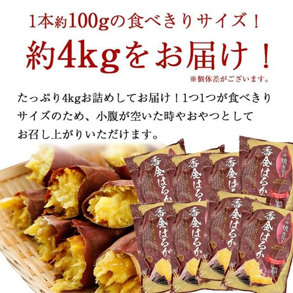 茨城県産 紅はるか 冷凍焼き芋 4.0kg(500g×8袋) 食品 野菜 さつまいも