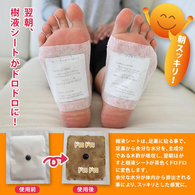 スッキリアサ 20枚入 両足10回分 足裏樹液シート 送料無料 健康