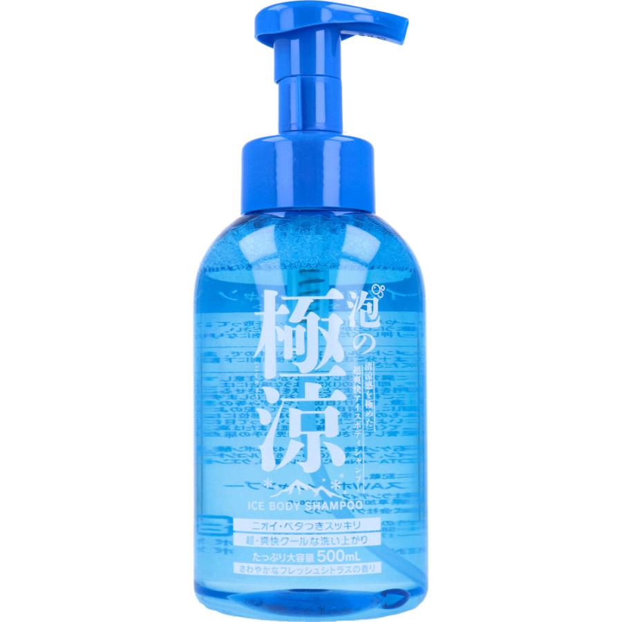 泡の極涼 アイスボディシャンプー 500mL さわやかなフレッシュシトラス