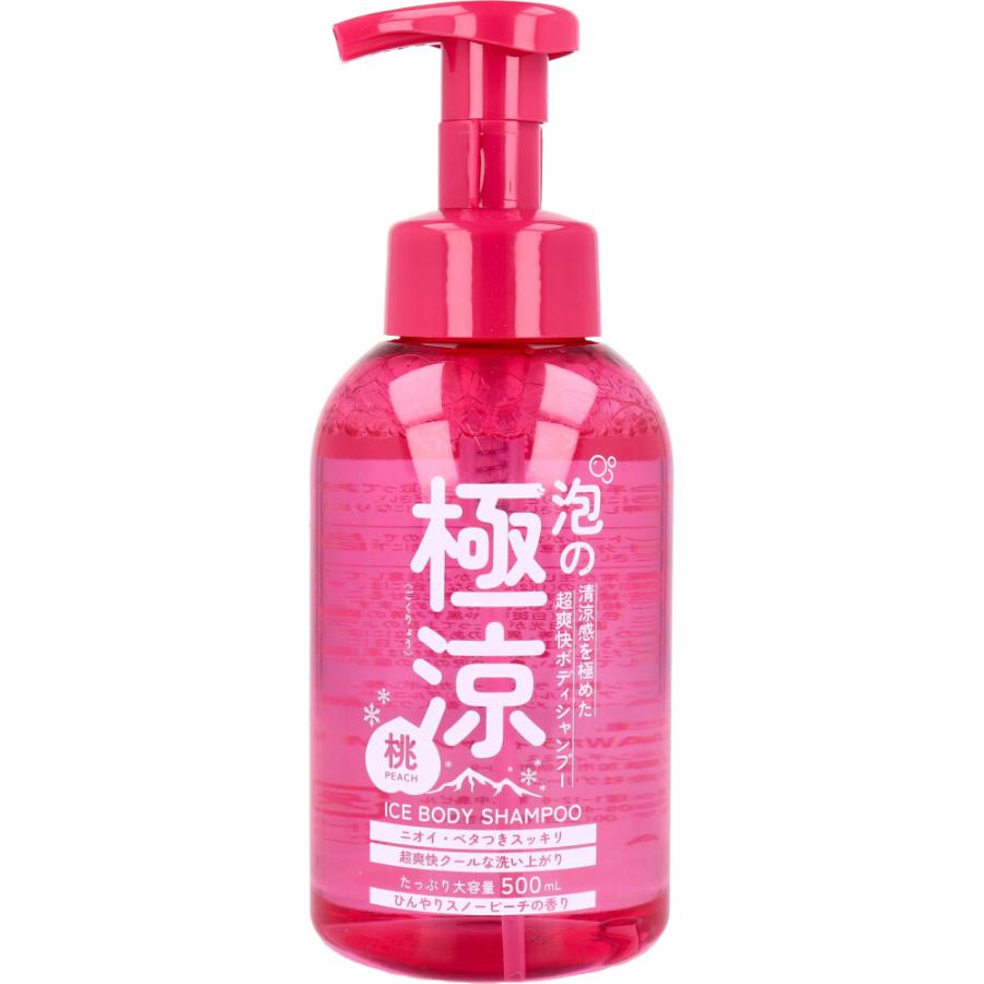 泡の極涼 アイスボディシャンプー 500mL さわやかなフレッシュシトラス