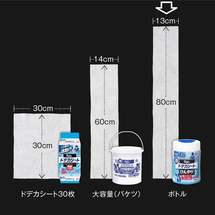 エリエール（elleair） ドデカシート 超ロング ボトルつめかえ用 健康