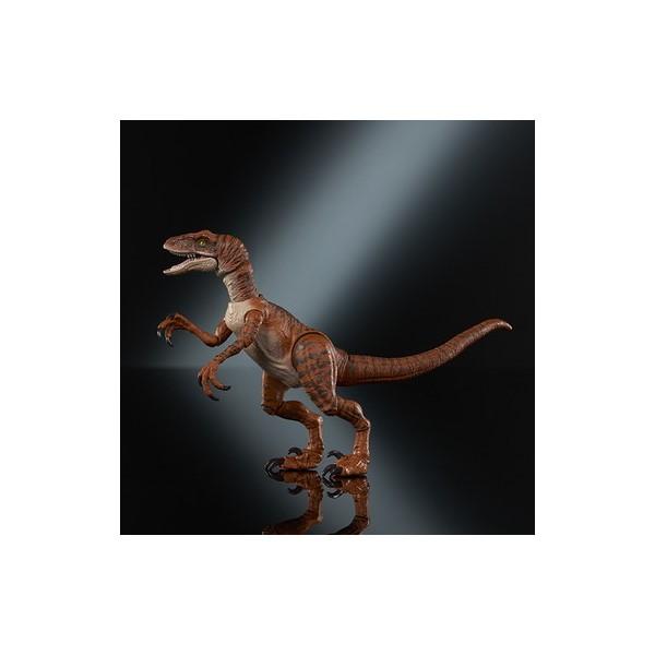 ハモンドコレクションヴェオキラプトル♂おす Amazon.co.jp: マテル ジュラシックワールド(JURASSIC WORLD) ハモンド