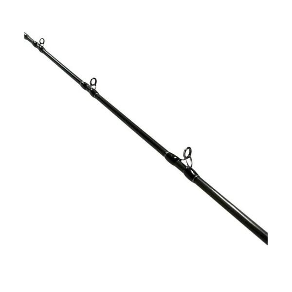 Fishman ビームス ブランシエラ 4.11L 90057 フィッシュマン_1