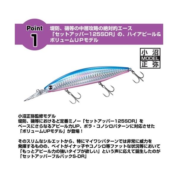 ショアラインシャイナーZ セットアッパー フルバック 125S-DR 小沼