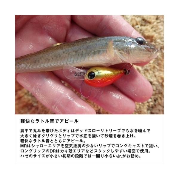 ハゼクラ Jr オレンジスジエビ 48307 ダイワ : 雑貨&カー用品