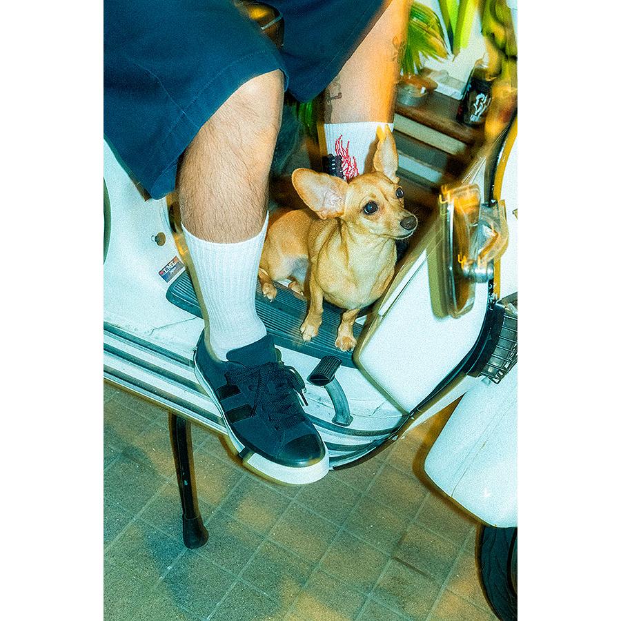 CLUCT（クラクト） スニーカー PRO-Keds × × mita sneakers ROYAL PLUS