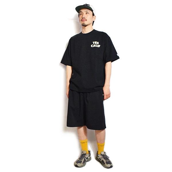 The Endless Summer（エンドレスサマー） Tシャツ The Endless Summer
