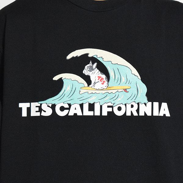 The Endless Summer（エンドレスサマー） Tシャツ The Endless Summer