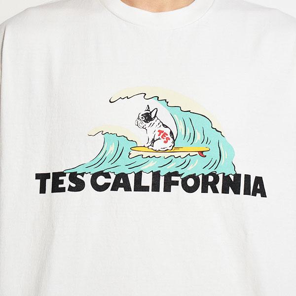 The Endless Summer（エンドレスサマー） Tシャツ The Endless Summer